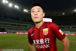 中超第29輪 上港3 0舜天 根寶告別武磊落淚