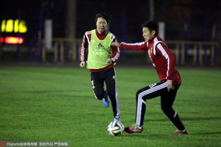 國足次戰首發或將大變臉 魯能舜天國腳確定輪休