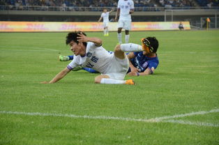 泰達主場小勝舜天，巴爾克斯烈鳥狀態火熱